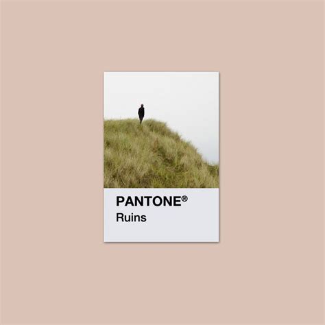 Pantone Palette: Discover Color Swatches and Aesthetic Inspiration