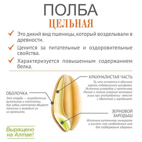 Полба 5 кг