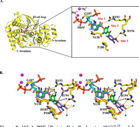 Figure 2 From Structures Of Mycobacterium Tuberculosis Anthranilate