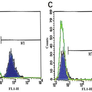 Identification of mesenchymal stem cell surface markers. (A) CD34, (B ...