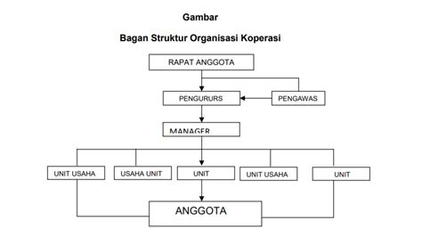 Struktur Organisasi Koperasi Contoh Struktur Fungsi Tujuannya Mobile