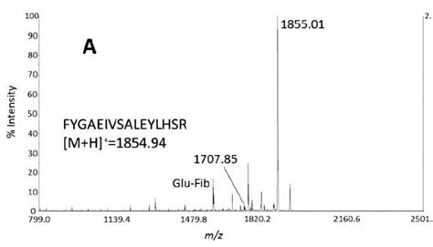 Ensuring analytical rigor in Nextgen protein assays