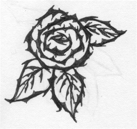 Rose With Thorns Drawing at PaintingValley.com | Explore collection of Rose With Thorns Drawing