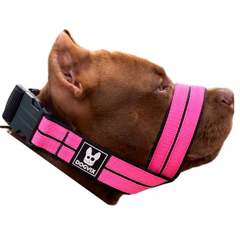 Focinheira Para Pitbull Confortável - Focinheira Pet Ajustável Para Cães Pitbull Regulável Confortável ...