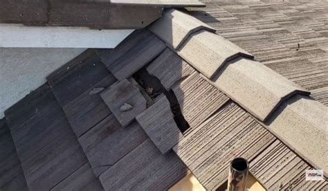 Signs Of A Bad Roofing Job Solutions To Fix It