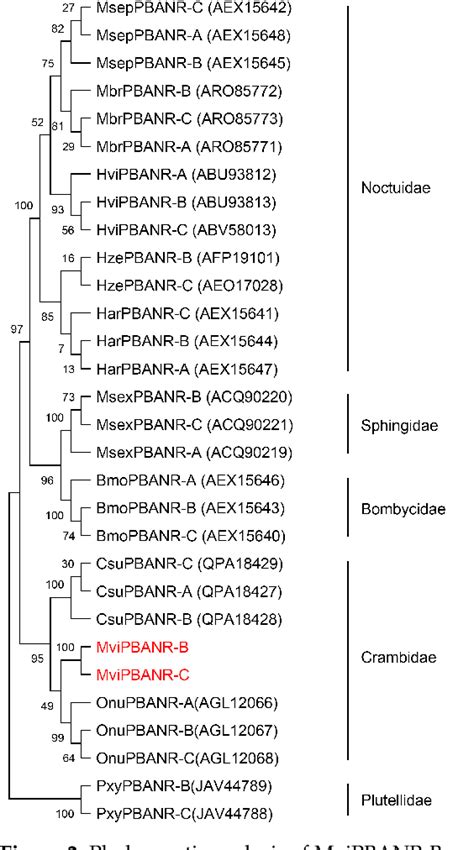 Figure From Functional Analysis Of Pheromone Biosynthesis Activating