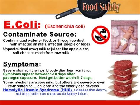 Fn1 Ppt Food Safety