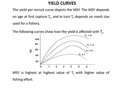 Yield Curves Ppt Download