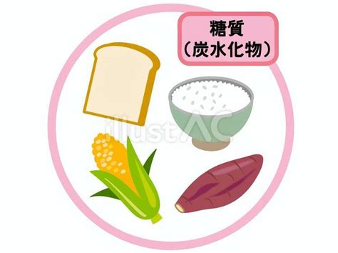 5大栄養素 糖質炭水化物を多く含む食品イラスト No 23611038｜無料イラスト・フリー素材なら「イラストac」