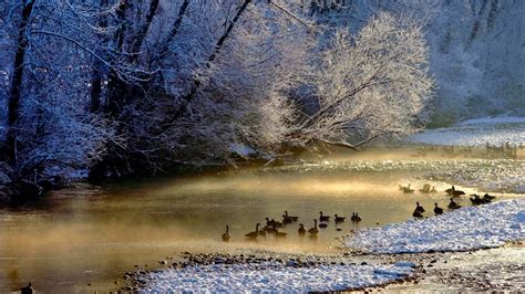 2008 Idaho Outdoorsidaho Camera Photo Contest Idaho Statesman