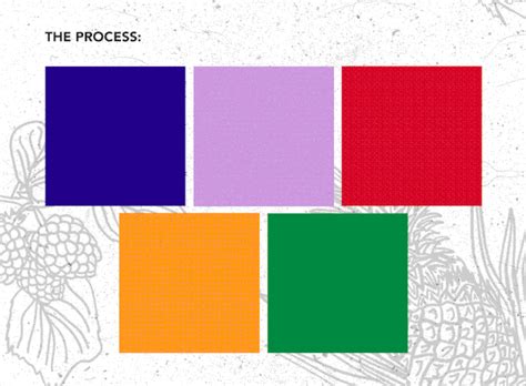 Naked Juice Artworks On Behance