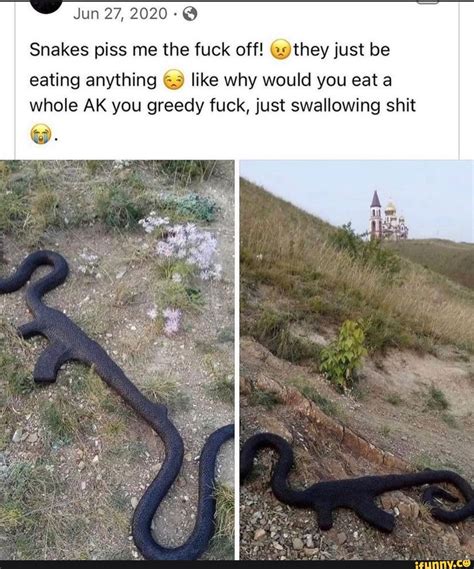 Jun Snakes Piss Me The Fuck Off They Just Be Eating Anything Like Why Would You Eat