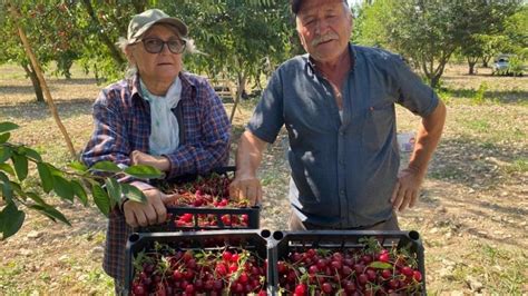 Vi Ne Fiyat Reticisini Sevindirdi Ekonomi Haberleri Ekonom