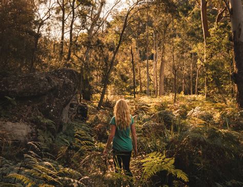 The 13 Most Beautiful Walks In Ku Ring Gai National Park Walk My World