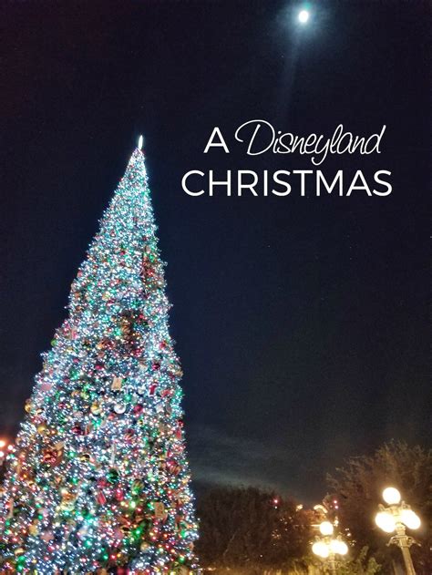 Top 5 Reasons to Visit Disneyland During Christmas | A Magical Mess