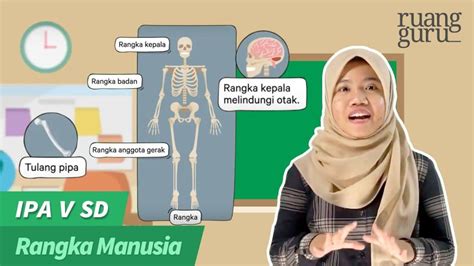 Aplikasi Pembelajaran Daring Yang Bisa Kamu Coba