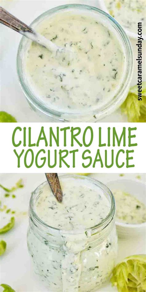 Creamy Cilantro Lime Yogurt Sauce Recipe