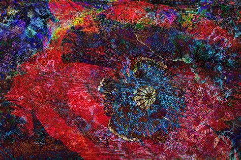 Abstract Red Poppy Photograph by Phyllis Denton - Fine Art America