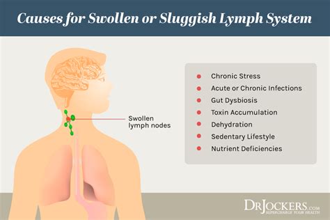 Lymphatic Cleansing 8 Ways To Clear Lymph Congestion Lymphatic