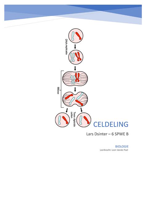 Biologie Taak Celcyclus BIOLOGIE Leerkracht Leen Vande Poel