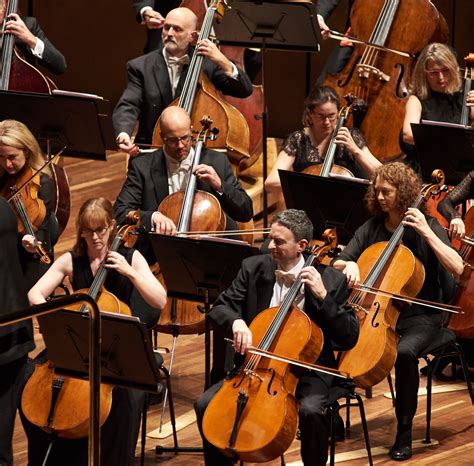 cello section orchestra