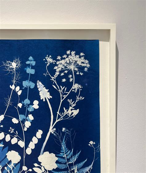 Julia Whitney Barnes Queen Anne S Lace Cyanotype Still Life Painting By Julia Whitney Barnes