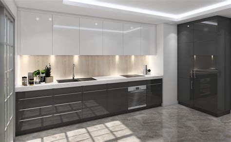 Contemporary European Minimal Frameless Cabinets Abs Cabinets And Counters Seattle Bellevue