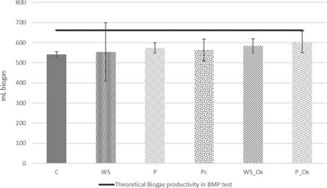 Biogas Productivity Versus Theoretical Biochemical Methane Potential