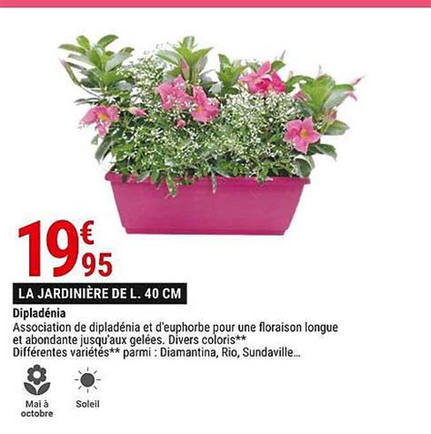 Promo Diplad Nia Chez Gamm Vert Icatalogue Fr