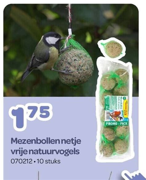 Mezenbollen Netje Vrije Natuurvogels Promotie Bij Happyland