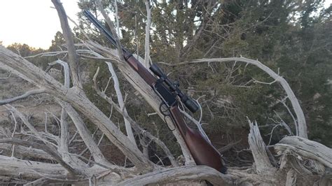 Henry Lever Action Magnum Express Review Ehuntr