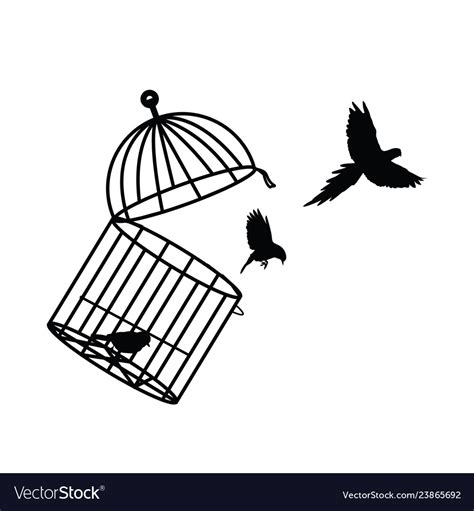 Cage bird Royalty Free Vector Image - VectorStock