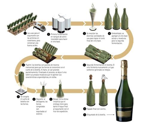 Metodo Champenoise Vino Espumoso Vinos Y Quesos Carta De Vinos