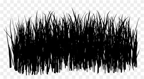 Download Png Black Grass Png Clipart 4693060 Pikpng