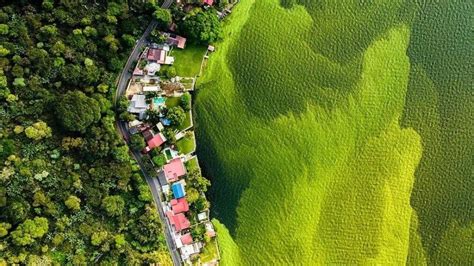 A Realidade Por Tr S Da Imagem Do Lago Verde Da Guatemala Que Ganhou O