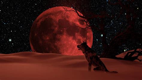 Descubre el misterio Qué significa soñar con una luna roja gigante