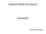 Ppt Principios Y Etapas Del Proceso Penal Acusatorio Y Oral