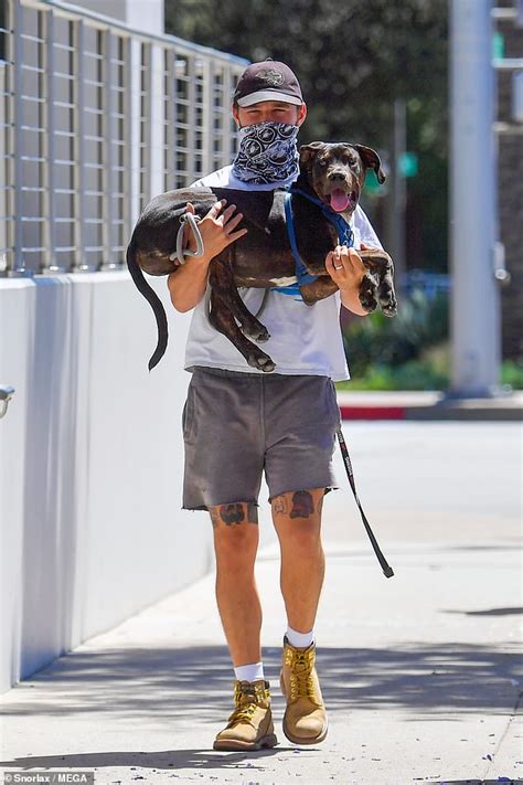 Shia LaBeouf partially covers his face with a bandana as he CARRIES his newly-adopted dog ...