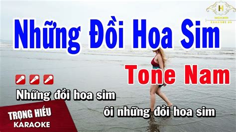 Karaoke Nh Ng I Hoa Sim Tone Nam Nh C S Ng Tr Ng Hi U Youtube