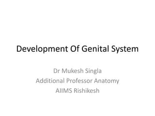 Development Of Genital System PPT