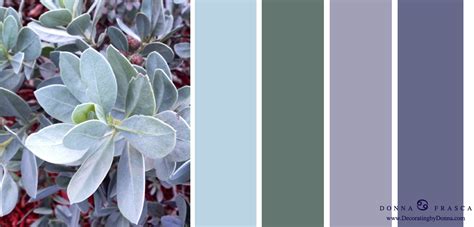 sage colors | Decorating by Donna • Intuitive Color Expert