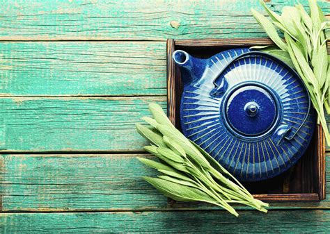 Полезные свойства шалфея: применение для здоровья