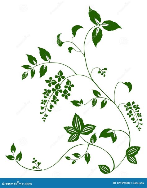 Flower And Vine Pattern Royalty Free Stock Photos Image 12199688