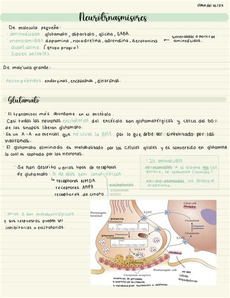 Neurotransmisores Karla Gutiérrez uDocz