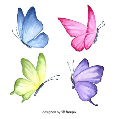 Watercolor Butterfly Paintings