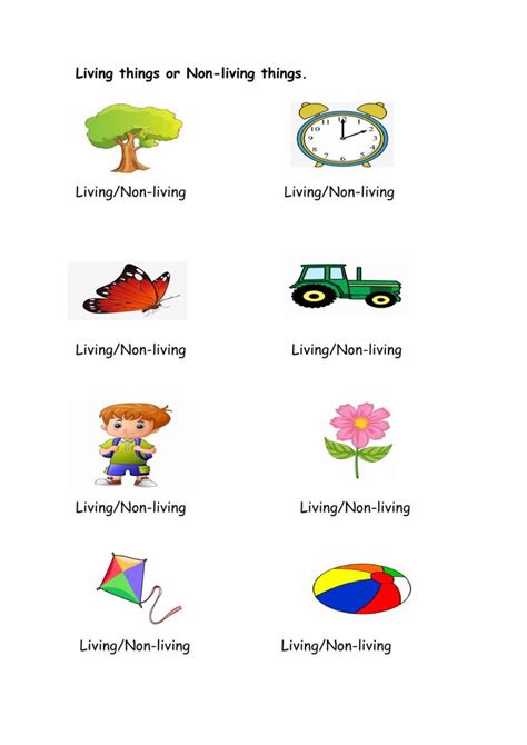 Ejercicio De Living Or Non Living Things Simple Past Tense