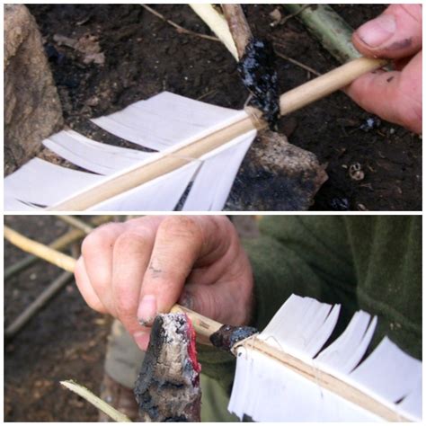 How To Make Hot Rock Spruce Pitch Bushcraft Days