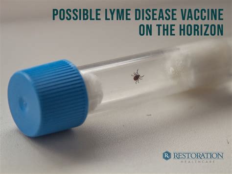 Possible Lyme Disease Vaccine on the Horizon