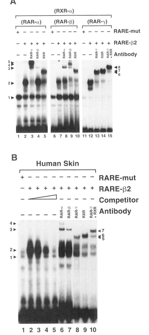 Figure 1 From Immunological Identification And Functional Quantitation