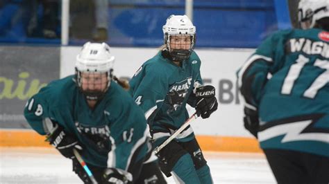 Aaa Sharks To Hold Spring Camp This Weekend Saskatchewan Country Cjnb